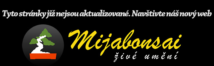 Navstivte nas novy web na adrese www.mijabonsai.com